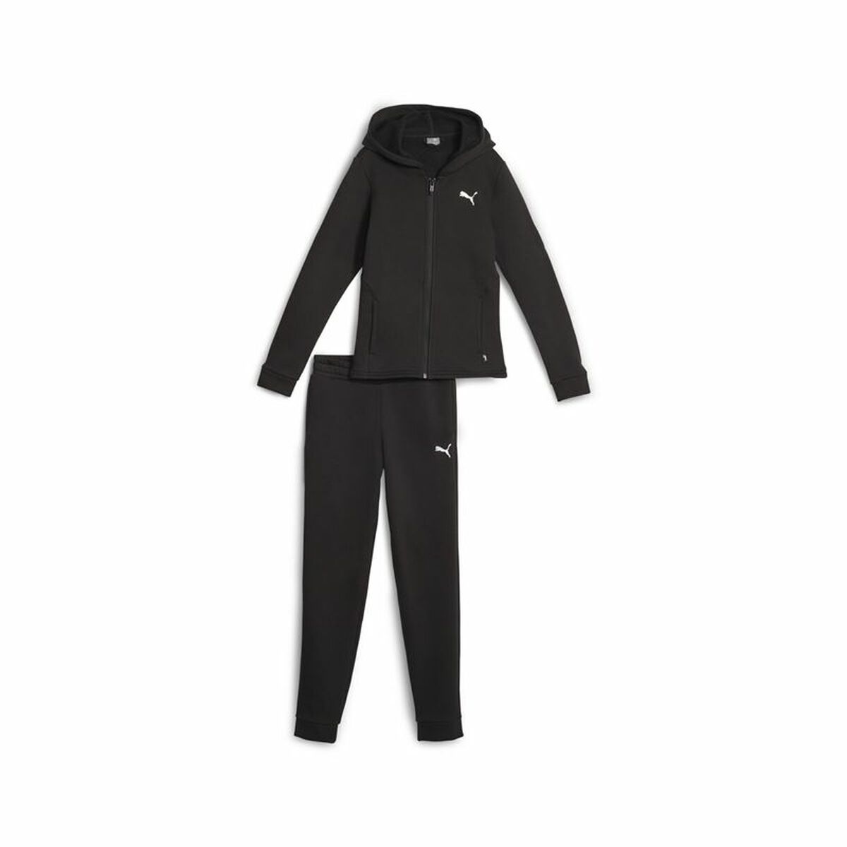 Children’s Tracksuit Puma Hooded Sweat-0