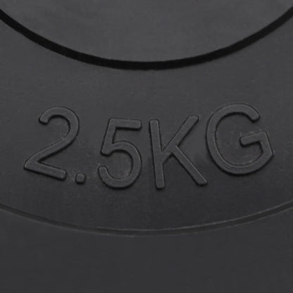 Halterschijven 6 St 30 Kg Cement